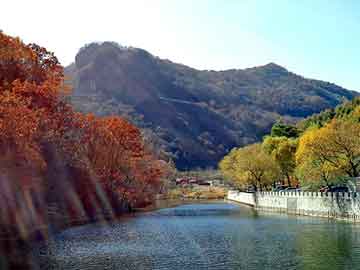 管家婆黑白马报图库，碳素结构板